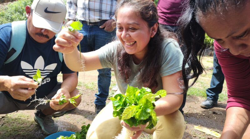 Martha Patricia Cruz Fernández es productora certificada de Café Orgánico y lideresa de la marca “Noctámbula”.