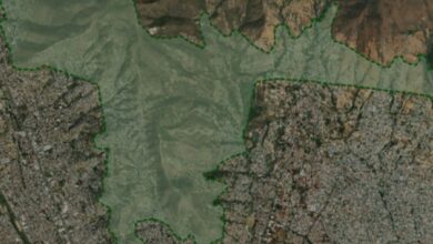 Luego que el cabildo municipal de Oaxaca de Juárez, echara abajo el acuerdo de noviembre de 2021, por el cual se suspendía el otorgamiento de permisos para la realización de obras, apeo y deslindes de suelo en la Zona de Reserva Ecológica y Área Natural Protegida del Cerro del Fortín, Cruz Blanca y el Crestón, organizaciones de la sociedad civil defensoras del medio ambiente, cuestionaron la iniciativa que pasó por la aplanadora de concejales morenistas.